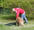 20110515_054.jpg