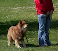 20110515_057.jpg