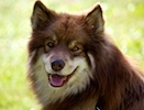 20110515_059.jpg