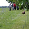 20110515_060.jpg