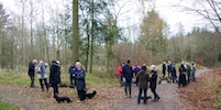 20111127_004.jpg