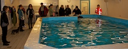2012-01-21T11-12-12-0060g.jpg