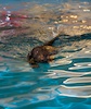 2012-01-21T11-19-20-0069g.jpg