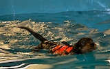 2012-01-21T11-23-56-0075g.jpg