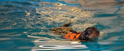 2012-01-21T11-23-58-0077g.jpg