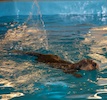 2012-01-21T11-28-45-0084g.jpg