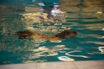 2012-01-21T11-28-46-0085g.jpg