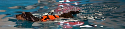 2012-01-21T11-36-48-0096g.jpg