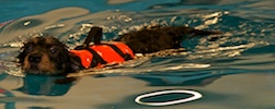 2012-01-21T11-36-50-0098g.jpg