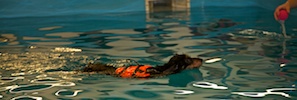 2012-01-21T11-37-46-0100g.jpg