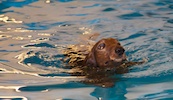2012-01-21T11-40-34-0104g.jpg
