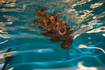 2012-01-21T11-40-37-0106g.jpg