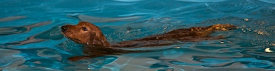 2012-01-21T11-40-56-0107g.jpg