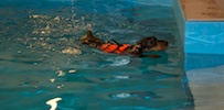 2012-01-21T11-43-13-0110g.jpg