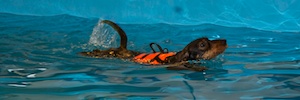 2012-01-21T11-43-43-0111g.jpg