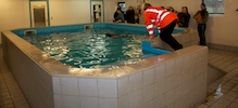 2012-01-21T11-44-02-0114g.jpg