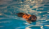 2012-01-21T11-44-35-0120g.jpg