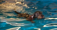 2012-01-21T11-47-28-0126g.jpg