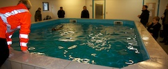 2012-01-21T11-49-17-0136g.jpg