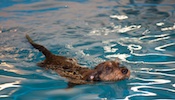 2012-01-21T11-49-51-0139g.jpg