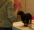 2012-01-21T11-53-28-0147g.jpg