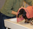 2012-01-21T11-53-31-0148g.jpg