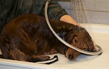 2012-01-21T11-54-10-0150g.jpg