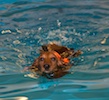 2012-01-21T12-08-32-0169g.jpg