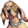 link